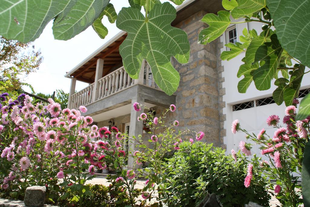 Castelo Dos Sonhos Hotel Valadares  Luaran gambar
